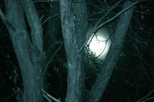 425835_3455769678545_316562425_n