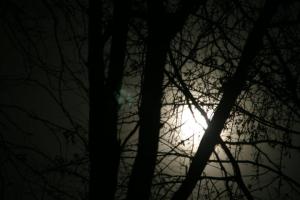 430123_3455769958552_130165794_n