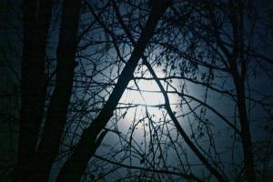 431481_3455769118531_141709697_n