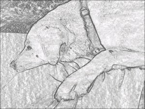 Sketched-2012-04-04_19-38-54(1)