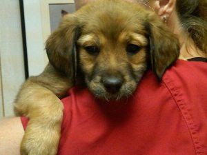 10130_1214468247410_7659714_n