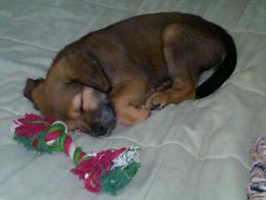 10130_1216718623668_5272421_n