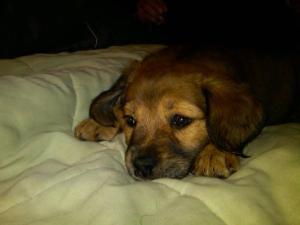 10130_1217278677669_4162533_n