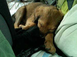 10130_1224879667689_6154233_n