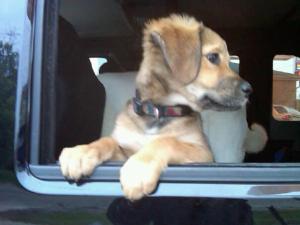 10130_1235812340999_959074_n