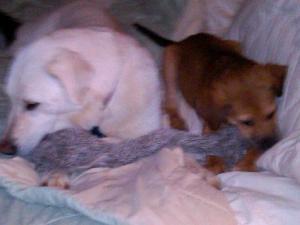 10131_1244853087012_5409067_n