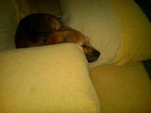 14744_1256131328961_5194091_n