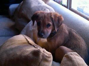 15335_1247696518096_8197170_n