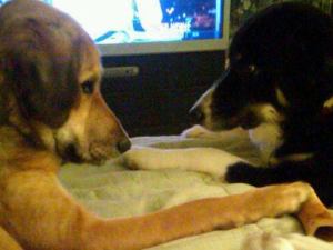 155466_1716137868837_3176972_n