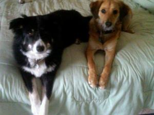 163275_1765505102987_2644409_n