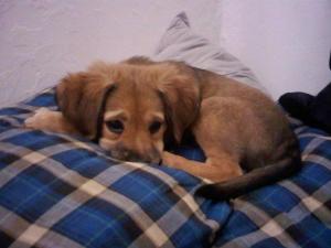 168187_1794352064143_53223_n