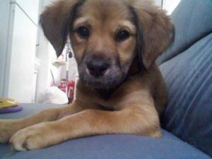 179071_1794351944140_776092_n