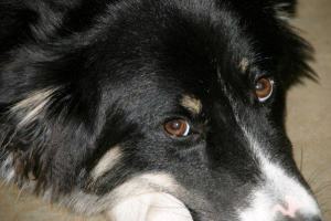 179243_1817576324735_7759137_n