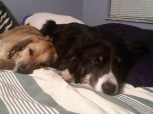 179322_1823392550137_902157_n