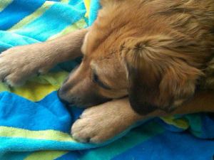 17946_1349938634085_2494414_n