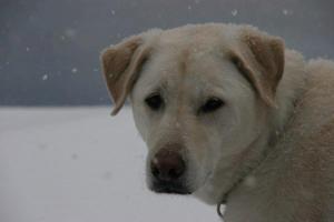 180611_1817570404587_154509_n