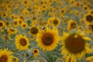 191014_4479187223344_39198935_o