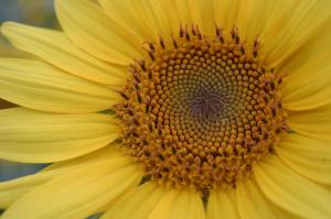 201935_4422502126252_1111561167_o