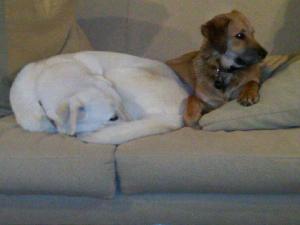 21070_1343008740842_5256927_n