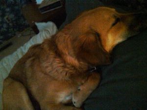 21070_1343336749042_5964670_n