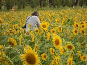 219536_4479189143392_418085483_o