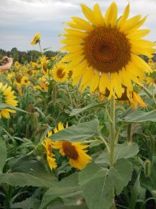 256239_4422487525887_697142451_o