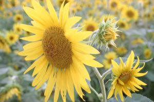 334066_4422494766068_457590398_o