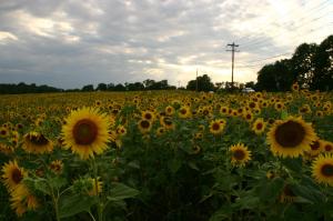 335427_4479190303421_818945497_o