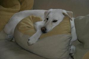 417627_3455774438664_1713439021_n