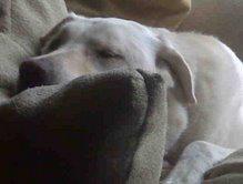 426064_3455775198683_556516433_n