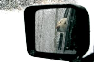 432300_3455774718671_1661661053_n