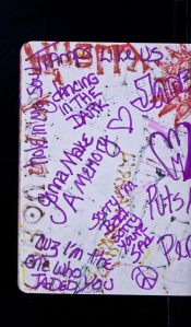 456412_4014992298761_871163019_o