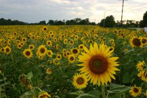 614492_4479189663405_1713797623_o