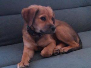 9327_1241940054188_640358_n