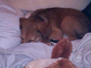 9327_1243332929009_3286737_n