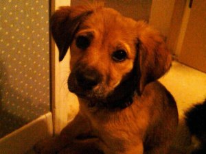 9421_1245270297442_1224853_n